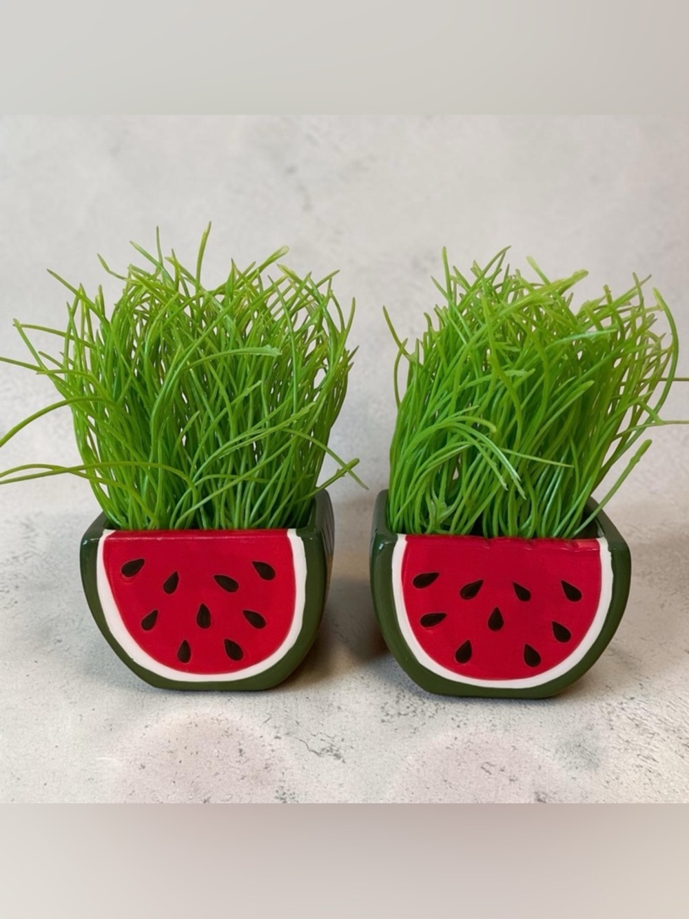 Watermelon Planter Set Faux Grass Decor Kawaii Summer Core 🍉
